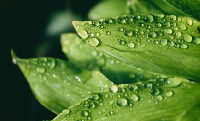 又到梅雨天——三招助您从容应对潮湿季！