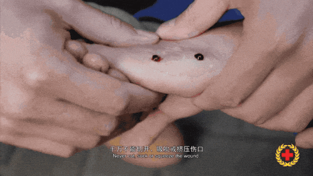 3.gif